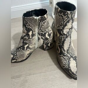 Snake skin madden girl booties